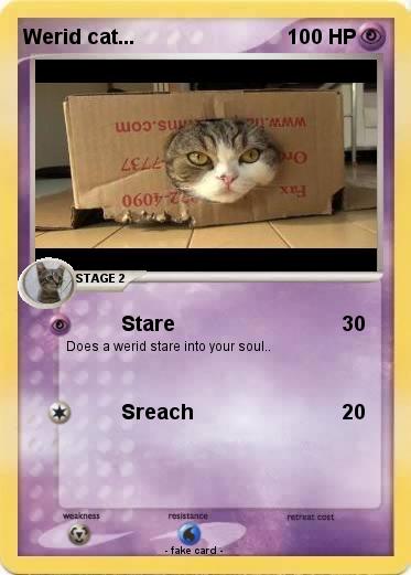Pokemon Werid cat...