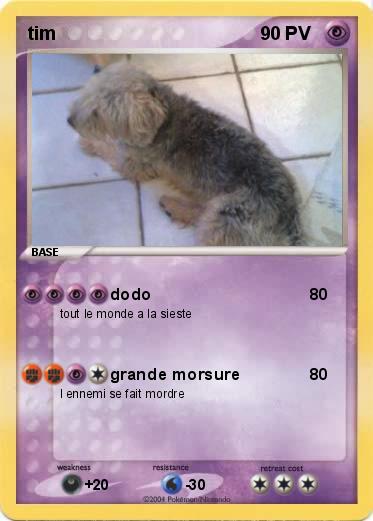 Pokemon tim