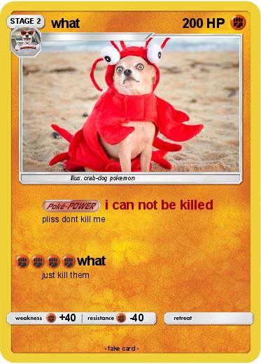 Pokemon what