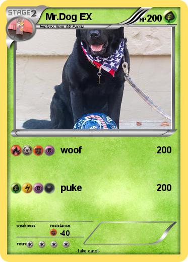 Pokemon Mr.Dog EX