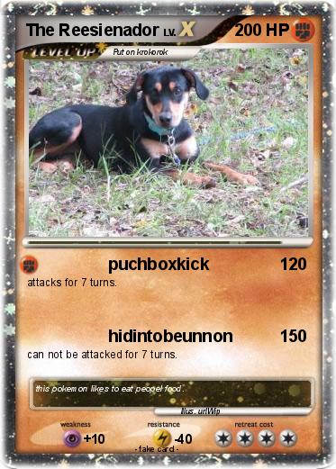Pokemon The Reesienador
