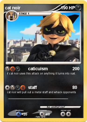 Pokemon cat noir