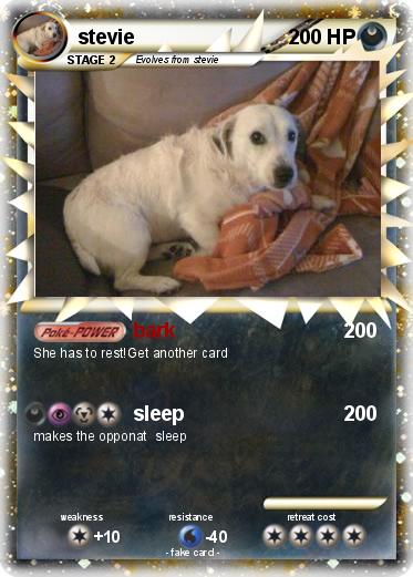 Pokemon stevie