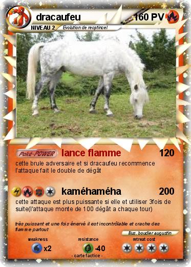 Pokemon dracaufeu