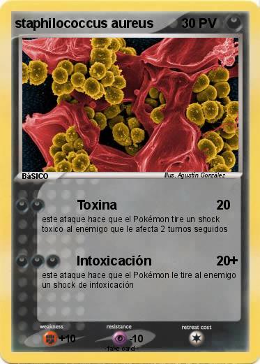 Pokemon staphilococcus aureus