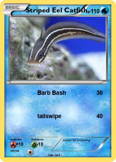 Pokemon Striped Eel Catfish