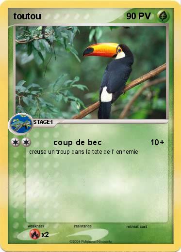 Pokemon toutou