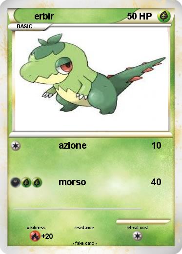 Pokemon erbir