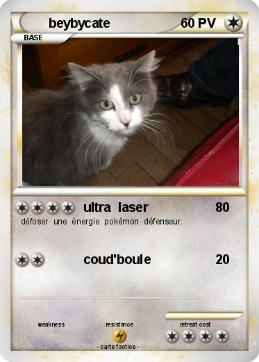 Pokemon beybycate