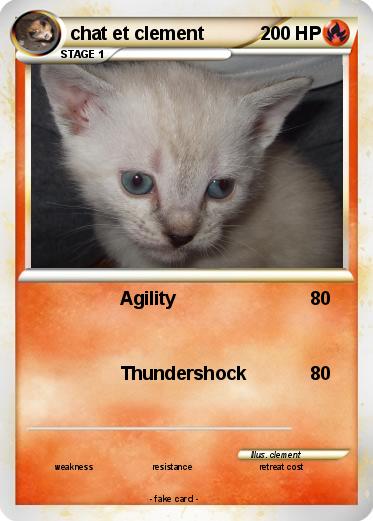 Pokemon chat et clement