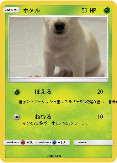 Pokemon ホタル