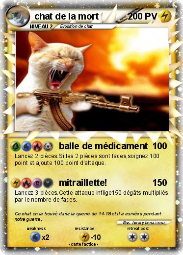 Pokemon chat de la mort