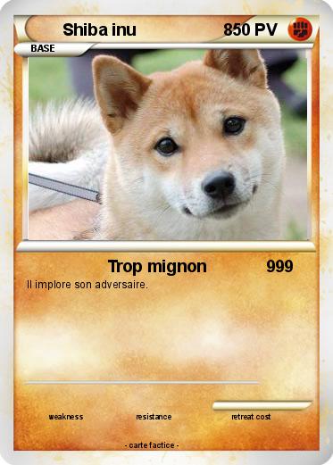 Pokemon Shiba inu                   8