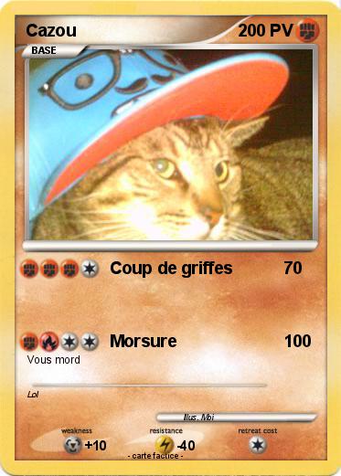 Pokemon Cazou