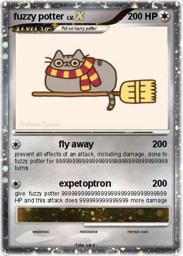 Pokemon fuzzy potter