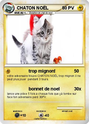 Pokemon CHATON NOËL