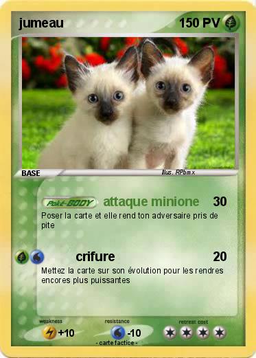 Pokemon jumeau