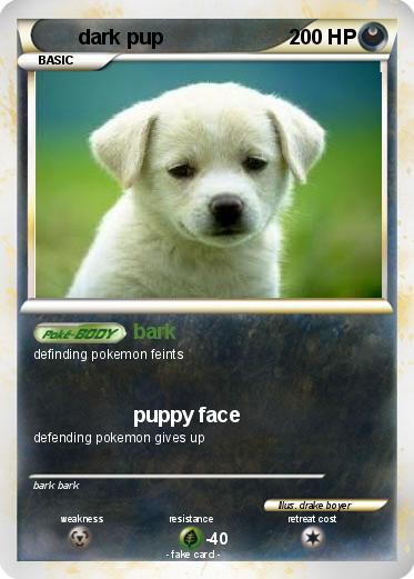 Pokemon dark pup