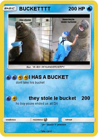 Pokemon BUCKETTTT