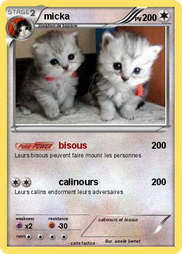 Pokemon micka