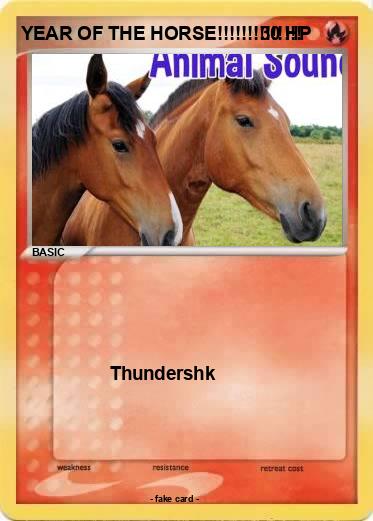 Pokemon YEAR OF THE HORSE!!!!!!!!!!!!!!