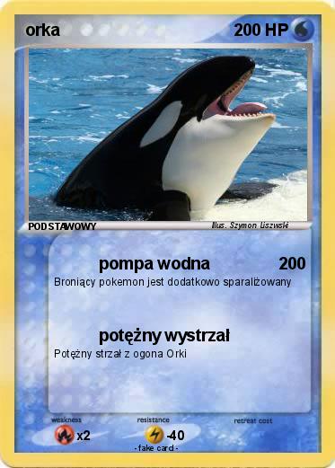 Pokemon orka