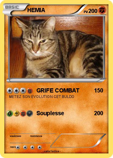 Pokemon HEMIA