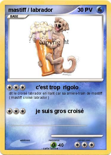 Pokemon mastiff / labrador
