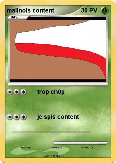 Pokemon malinois content