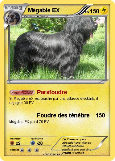 Pokemon Mégable EX