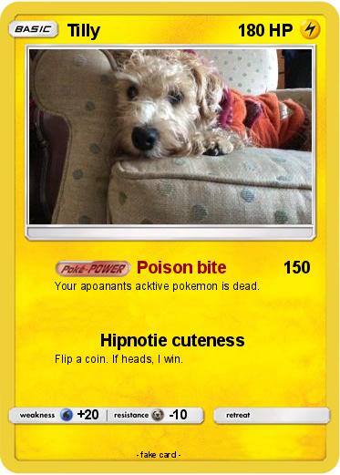 Pokemon Tilly