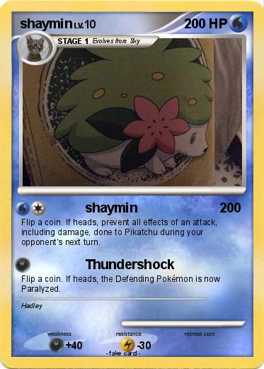 Pokemon shaymin