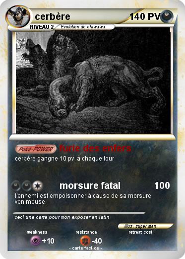 Pokemon cerbère