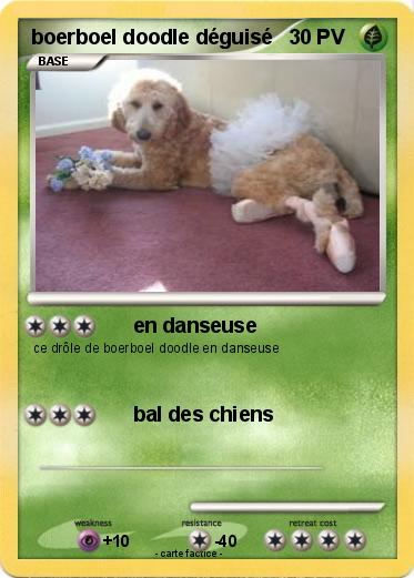 Pokemon boerboel doodle déguisé