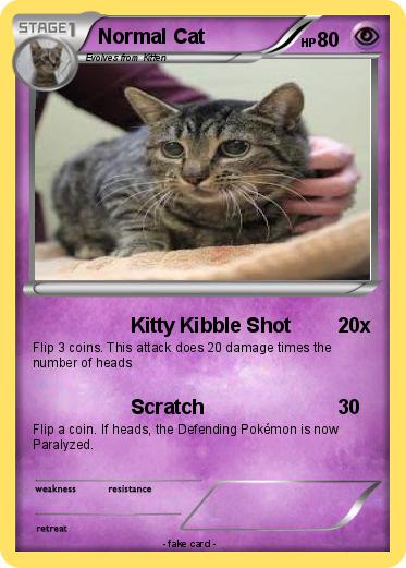 Pokemon Normal Cat