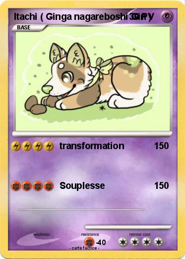Pokemon Itachi ( Ginga nagareboshi Gin )