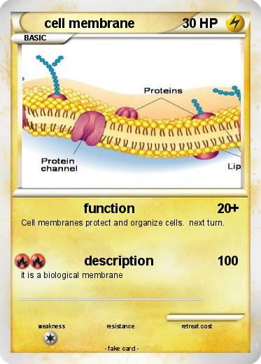 Pokemon cell membrane