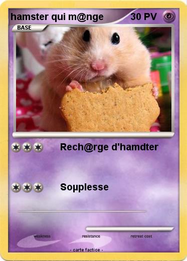 Pokemon hamster qui m@nge