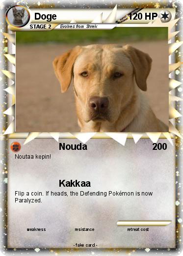 Pokemon Doge