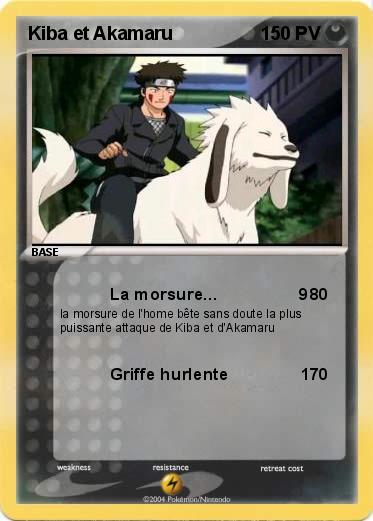 Pokemon Kiba et Akamaru