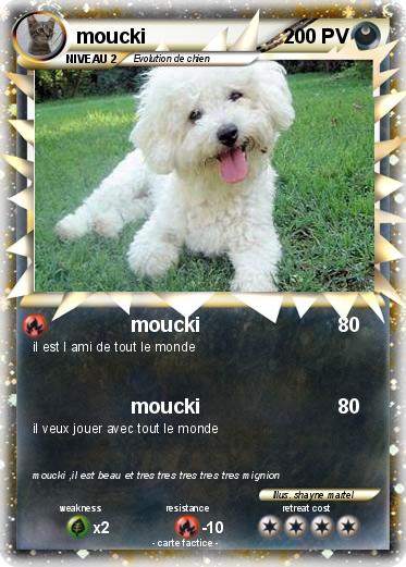 Pokemon moucki