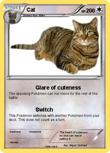 Pokemon Cat