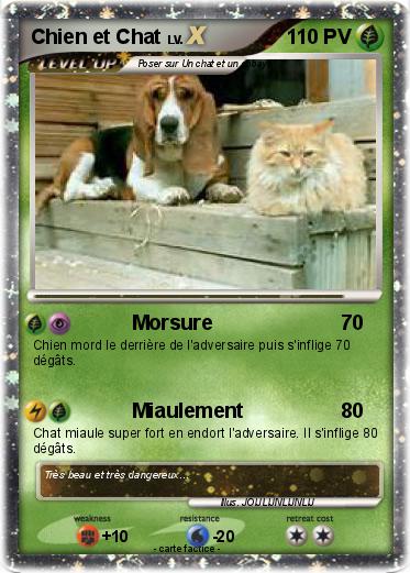 Pokemon Chien et Chat