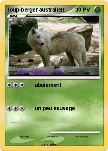 Pokemon loup-berger australien