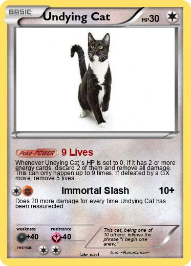 Pokemon Undying Cat