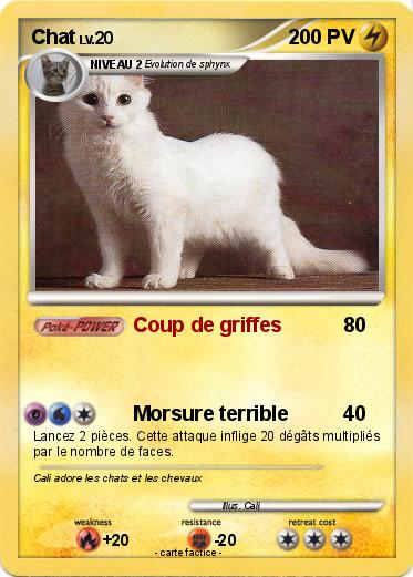 Pokemon Chat