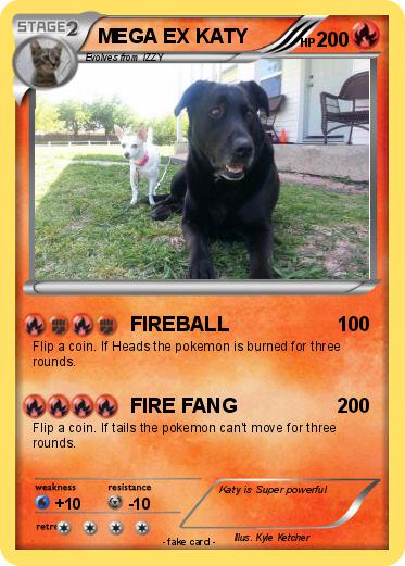 Pokemon MEGA EX KATY