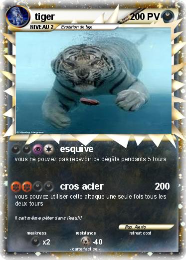 Pokemon tiger