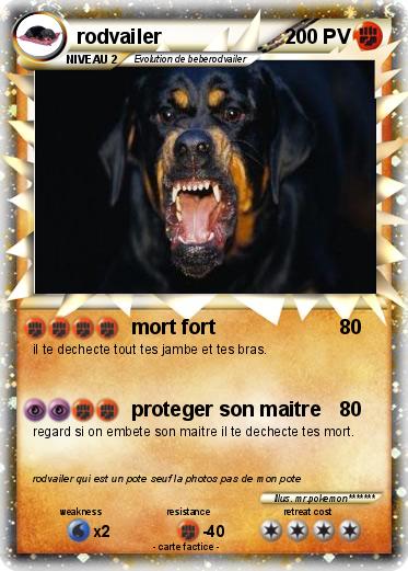 Pokemon rodvailer