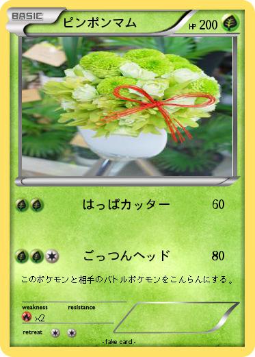 Pokemon ピンポンマム